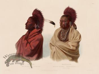 03 Massica and Wakusasse